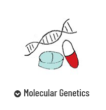 Molecular Genetics