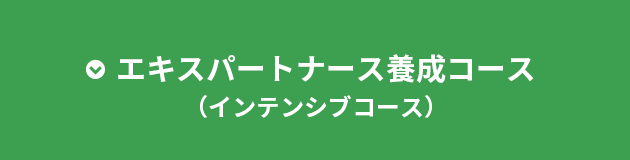 エキスパート養成コース