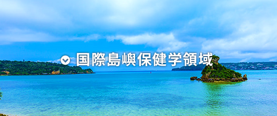 国際島嶼保健学領域