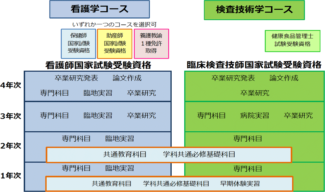 保健学科カリキュラム