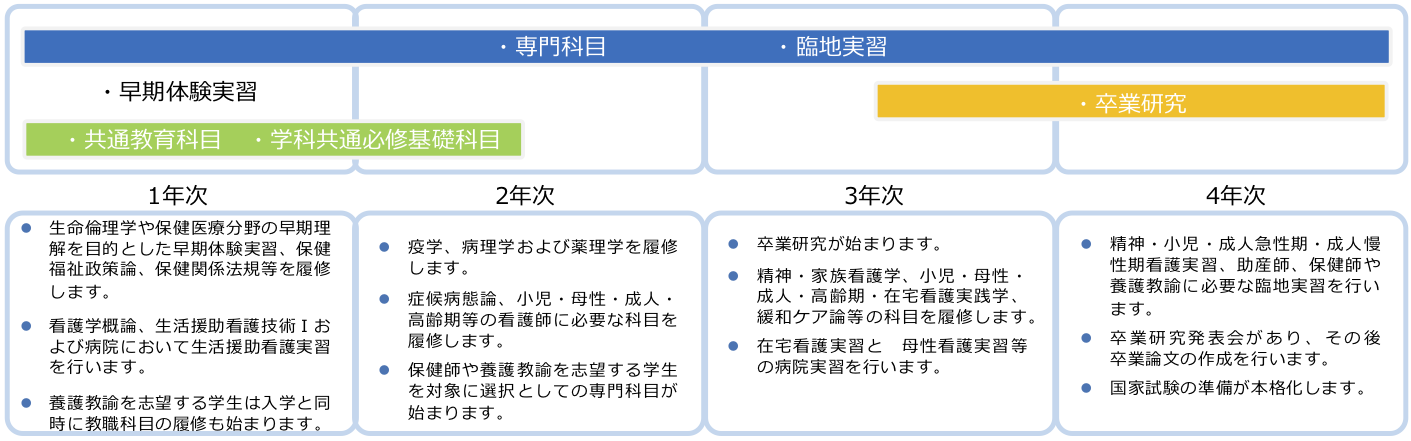 看護学コース カリキュラム