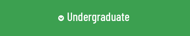 Undergraduate