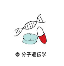 分子遺伝学