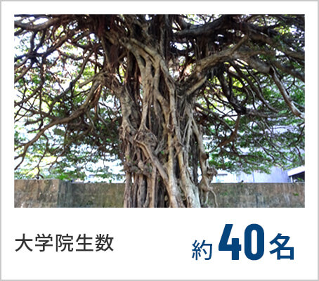 大学院生数 約40名