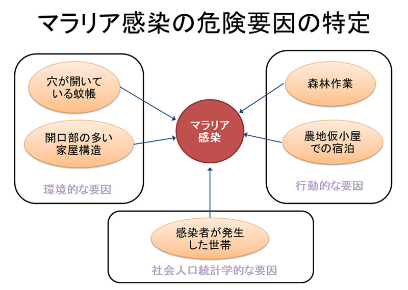 マラリア感染の危険要因の特定